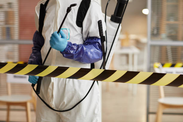 Professional Hoarding Cleanup technician working in Howard City, MI